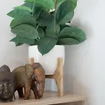Modern Stylish New 3 Mins Cbd